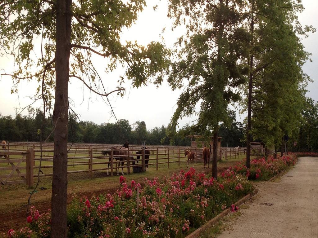 Agriturismo Il Boschetto Ornago Luaran gambar