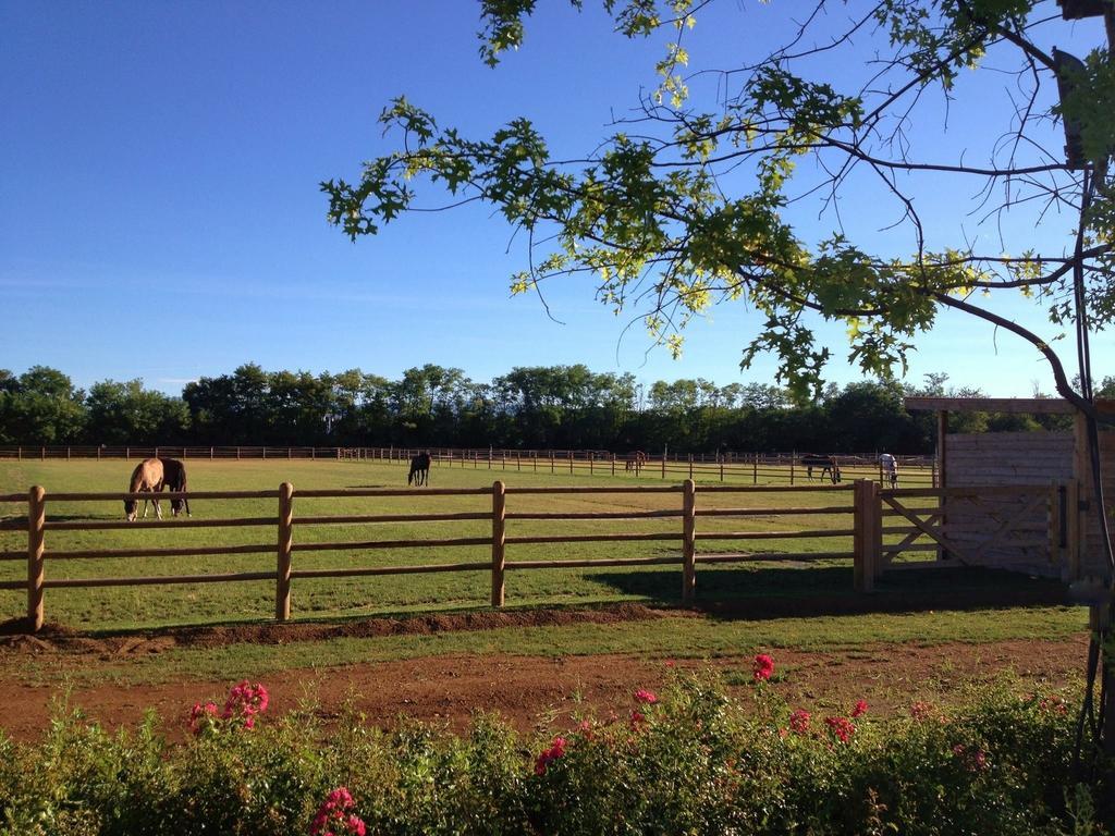 Agriturismo Il Boschetto Ornago Luaran gambar