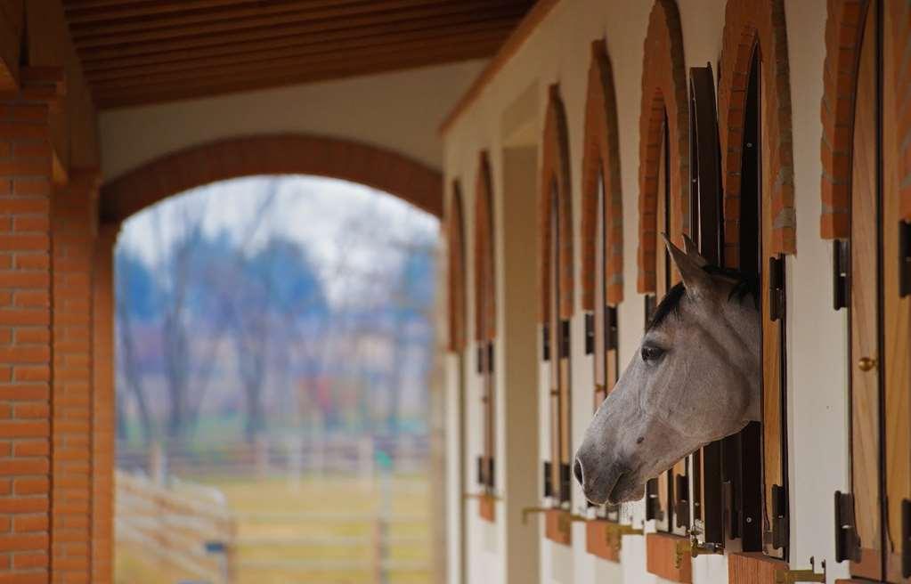 Agriturismo Il Boschetto Ornago Kemudahan gambar